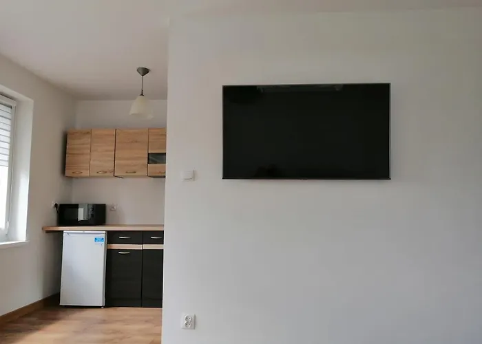 Apartament Tygrysek